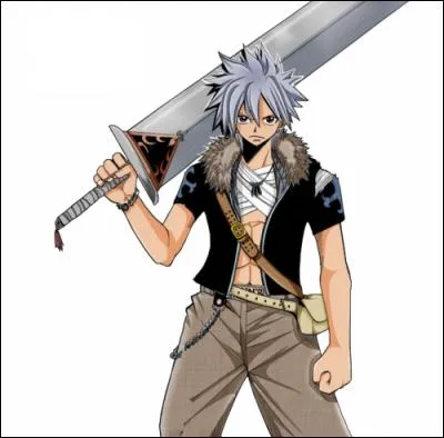 C'est le nouveau Rave Master. C'est :