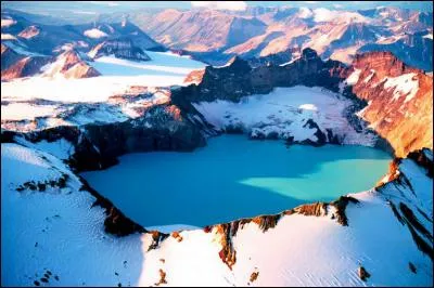 Quels animaux sont emblématiques de l'Alaska ?