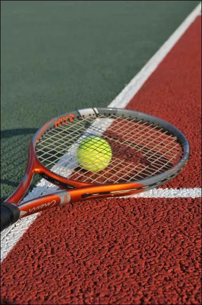 Quel est le joueur français actuellement le mieux classé au tennis ?