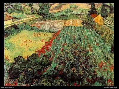 On m'appelle aussi « Pomme de Carthage ». En projectile, je fais du dégât. On visite mon « Alhambra ». Je suis le mot :