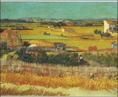 J'ai une disposition à une sensibilité. Optique, je suis câblé. Les poètes grecs savaient me faire vibrer en jouant de la lyre. Je suis le mot :