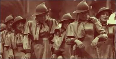 Dans la forêt, nos amis ont aussi croisé le chemin d'une élève de l'académie Beauxbâtons. Comment a-t-elle appelé la célèbre école ?