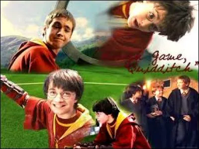 Au temps de Ludo Verpey, combien de matches les Frelons de Wimbourne" ont-ils remportés ?