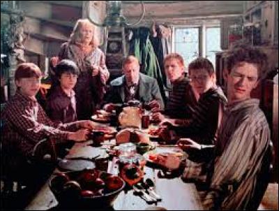 Avant d'aller dormir, Harry, Hermione et les Weasley ont bu...
