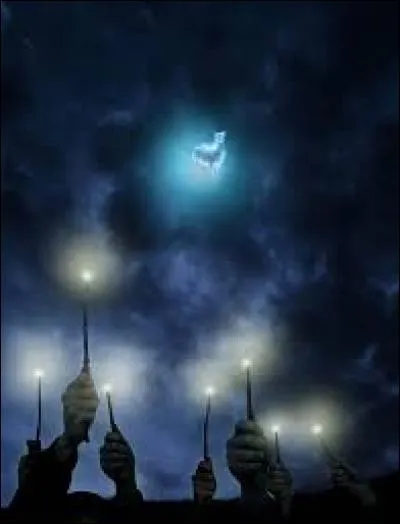 Quel sortilège faut-il lancer pour faire disparaître la Marque des Ténèbres ?