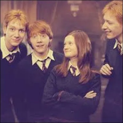 Quel membre de la famille Weasley avait pris Ginny par la main et la tenait ?