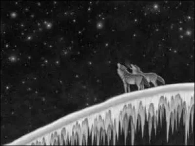 Où les loups essaient-ils d'aller dans le dernier tome ?