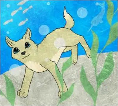 Que voit Abban sous l'eau ?