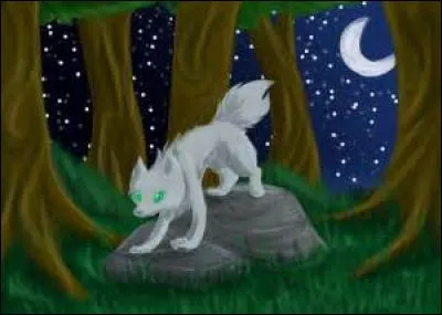 Que signifie le mot "malcadh" ?