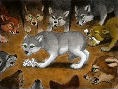 Quel rang avait Faolan quand il a rejoint la meute ?