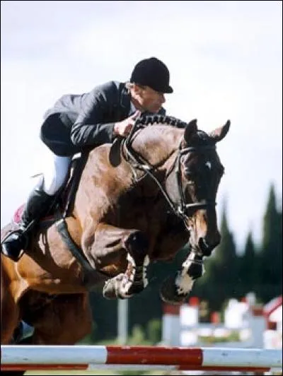 Comment s'appelle ce cheval de CSO ?