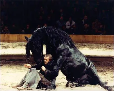 Zingaro a-t-il existé ?