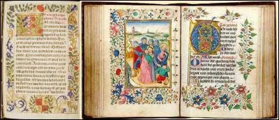 Bravo ! Ce manuscrit est magnifique ! Il ne te reste plus qu'à le confier à un « rubricateur », il finira le travail ! 
Quel est le métier d'un « rubricateur » ?