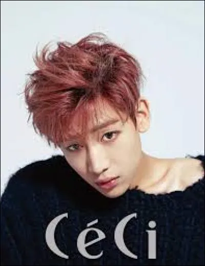 Quel jour est né BamBam ?