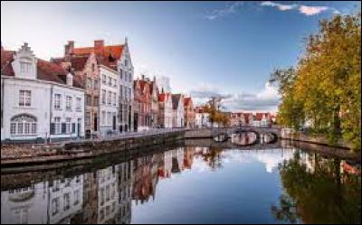 Quelle ville, située en Région flamande, est appelée "Venise du nord" car elle possède de nombreux canaux qui l'encerclent ou la traversent ?