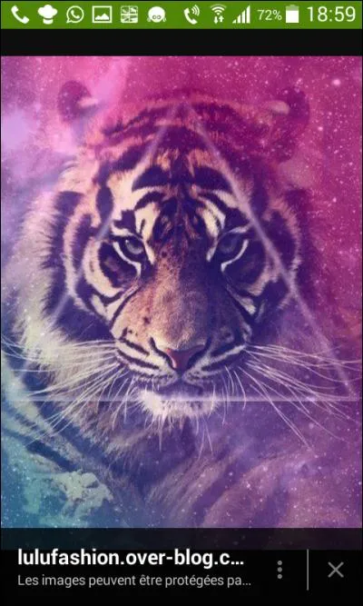 Quel est cet animal ?