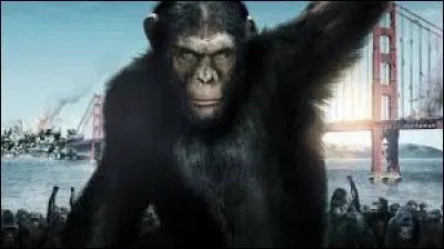 A quel écrivain français doit-on le roman de science-fiction "La Planète des singes", publié en 1963 ?