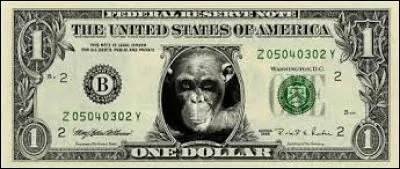 Que signifie l'expression "payer en monnaie de singe" ?