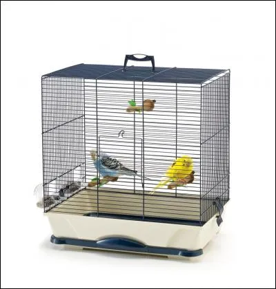 Dans une de ses chansons, le chanteur Pierre Perret dit q'il faut l'ouvrir pour libérer les oiseaux. Que faut-il ouvrir ? Pour le savoir, ajoute une lettre au mot "âge". (Ne pas tenir compte de l'accent.)