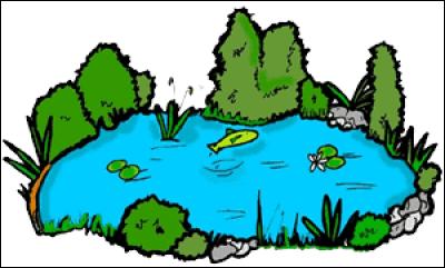 Quelle lettre faut-il ajouter au mot "are" pour obtenir le nom du bassin où nagent les poissons ?