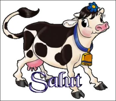 Ajoute une lettre au mot "ache" et tu pourras lui répondre "salut ! ".