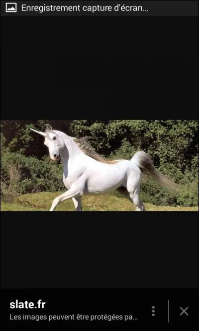 Quel est cet animal imaginaire ?