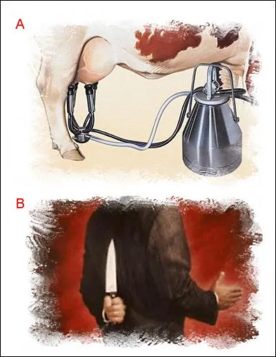 La lettre ajoutée est :