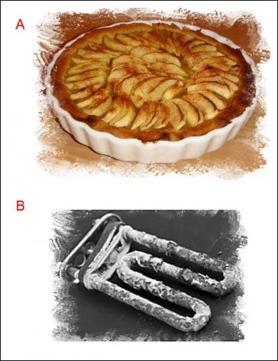 La lettre ajoutée est :