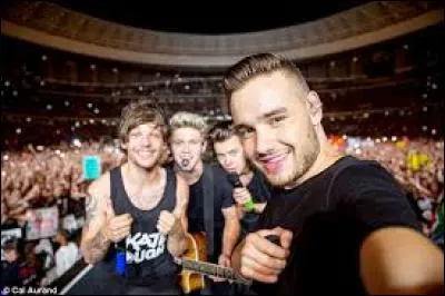 Les One Direction ont fait deux concerts en 2014. À quelles dates ?