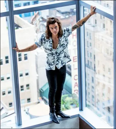 Harry n'aime pas que les filles disent...