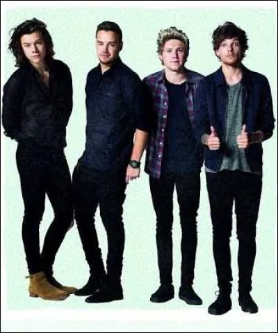 Quel est le premier album des One Direction ?
