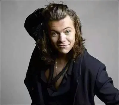 Avec combien de filles Harry Styles est-il sorti ?