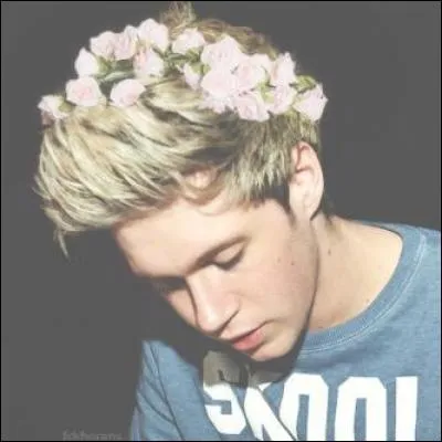 Quel est le pays préféré de Niall ?