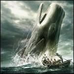 Quel est le nom de cette baleine blanche sortie de l'imagination d'Herman Melville ?