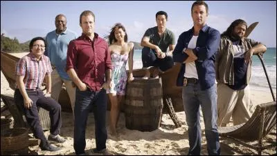 Qui est son coéquipier dans Hawaii 5-0 ?