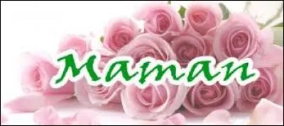 Prendre mon envol et rejoindre --- les oiseaux mais je vais revenir, en rampant s'il le faut...