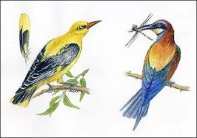 Unité monétaire de Macao :