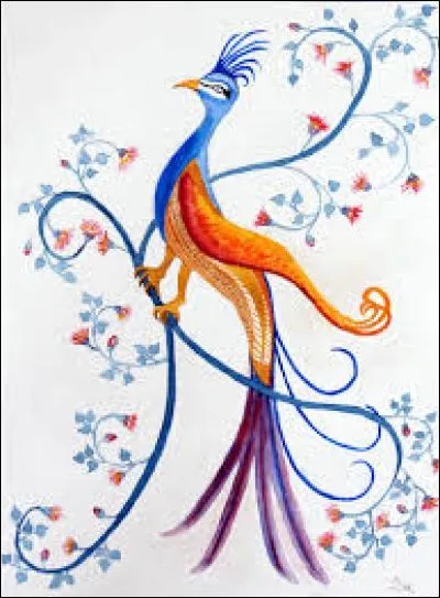 Cucurbitacée de la forme d'un disque cannelé :