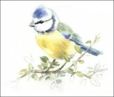 Très familièrement, personne idiote :