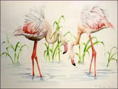 Raquette de pelote basque :