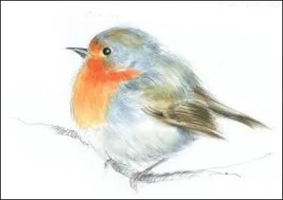 Cheval de parade, au Moyen Âge :