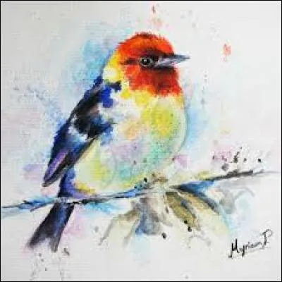 Ligne de pêche à laquelle sont fixés plusieurs hameçons :