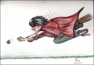 Qu'est-ce que l'attaque en faucon ?