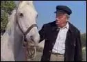 Comment se nomme ce cheval au c&ocirc;t&eacute; de Fernandel ?