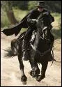 Quel est le nom du cheval de Zorro ?