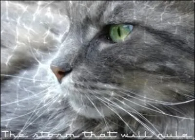 Qui étai(en)t son (ses) apprenti(s) ?