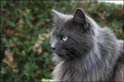 Combien a-t-elle de surs ?