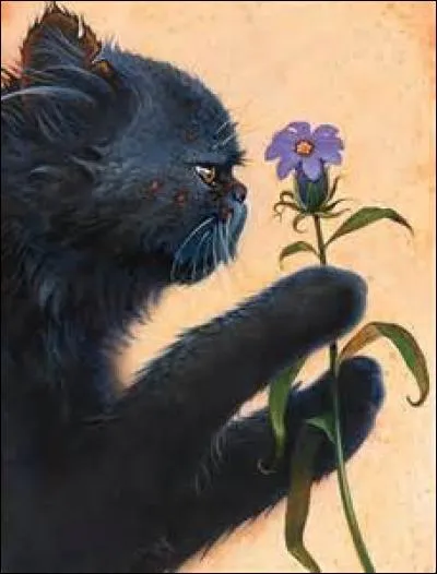 Si elle en a, lesquels ?