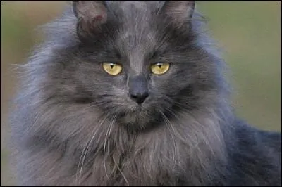 Combien a-t-elle eu de garçons ?