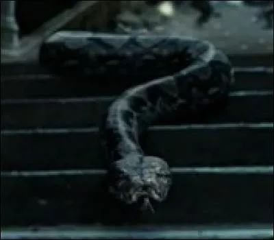 Qui tue Nagini dans "Harry Potter et les Reliques de la mort (Partie 2)" ?